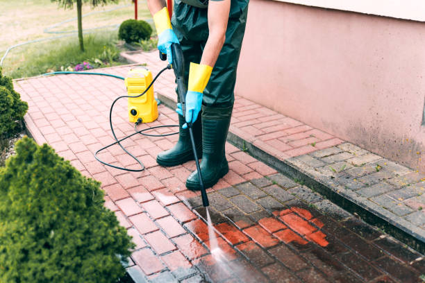 Best Dumpster Area Cleaning  in Chesapeake, VA